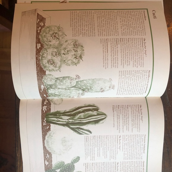 House plant care book - Picture 4 of 4